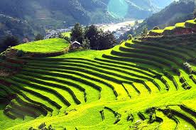 Northwest Vietnam Itinerary 11 Days